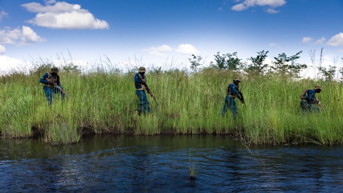 zimbabue-africa-do-sul-fotografia