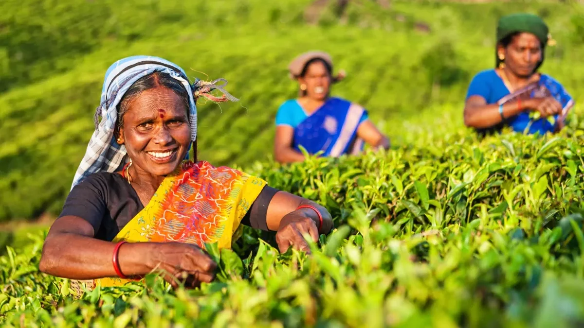 india-kerala
