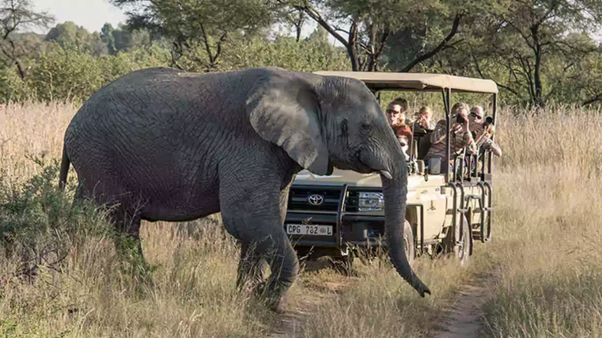 clima-da-africa-big-five