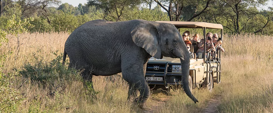viagem-em-familia-africa