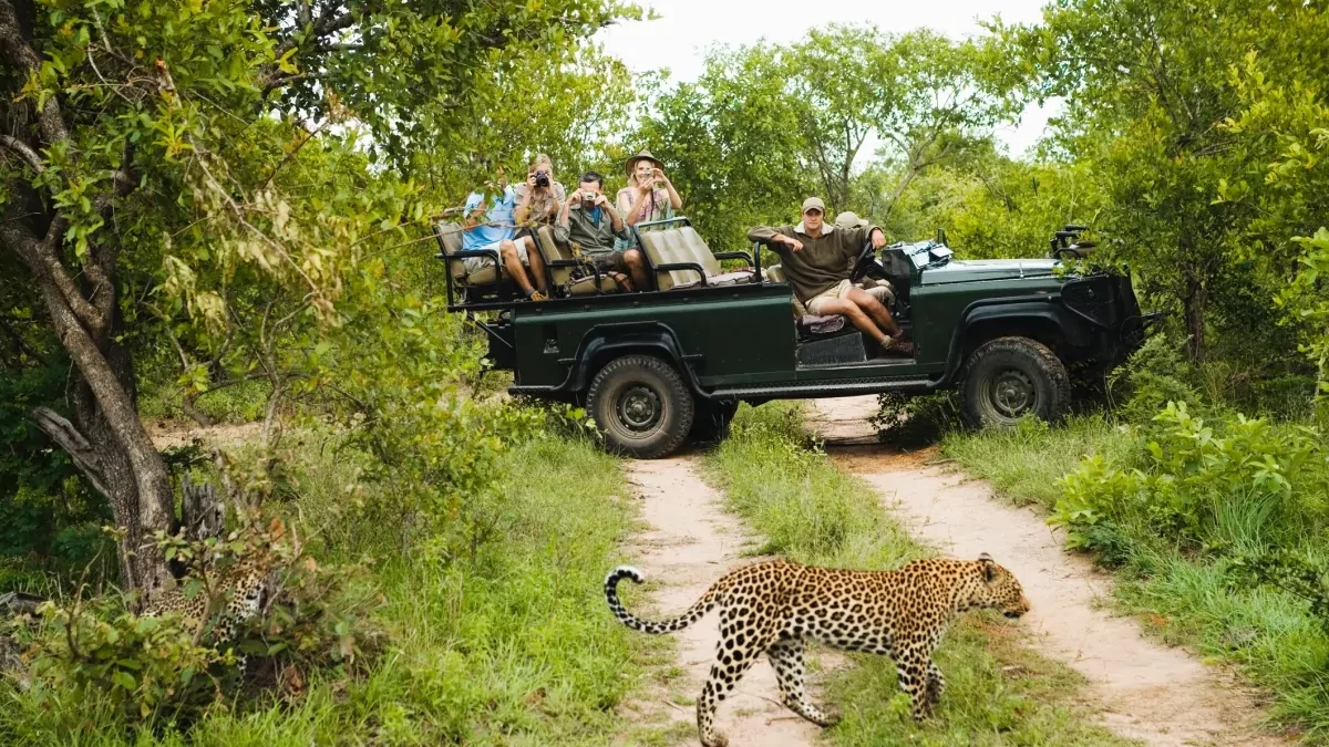africa-do-sul-safari-no-kruger