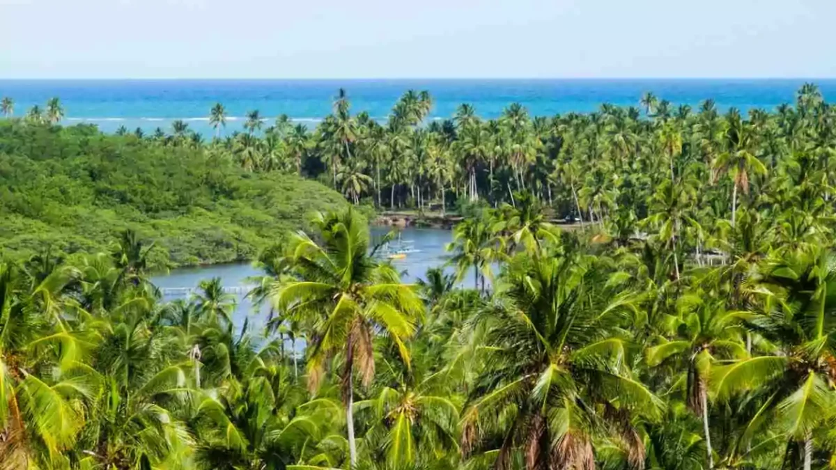 melhores-destinos-do-brasil-sao-miguel-dos-milagres