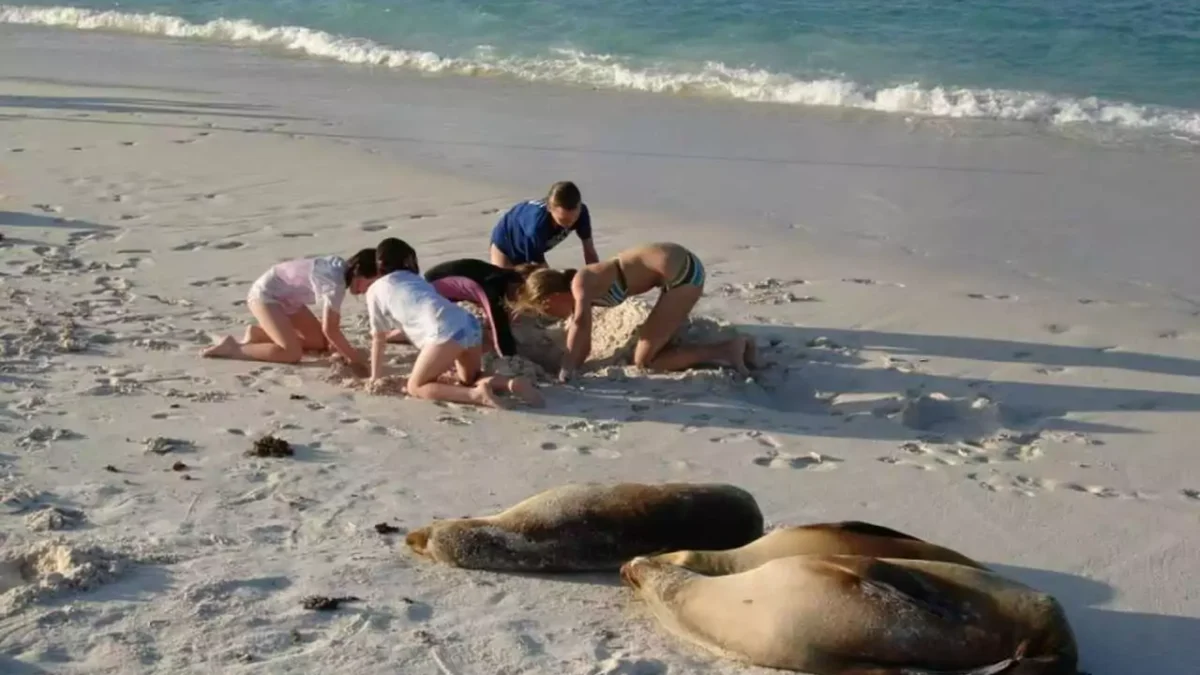 viagem-com-crianca-para-galapos-animais-na-praia