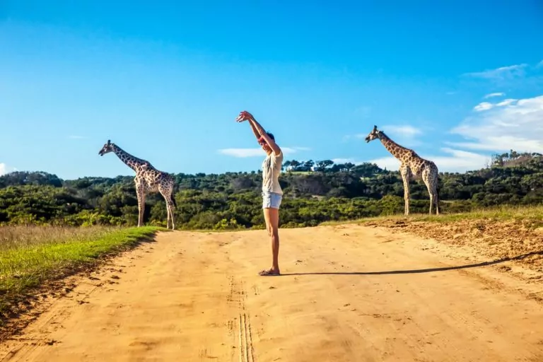 turismo-ecologico-e-sustentavel-experiencia-viagem-com-animais