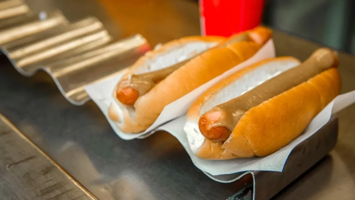 islandia-cachorro-quente