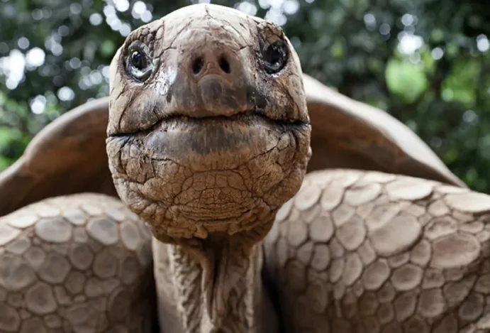 Desbrave o Arquipélago de Galápagos e Veja Como Conhecer o Local!