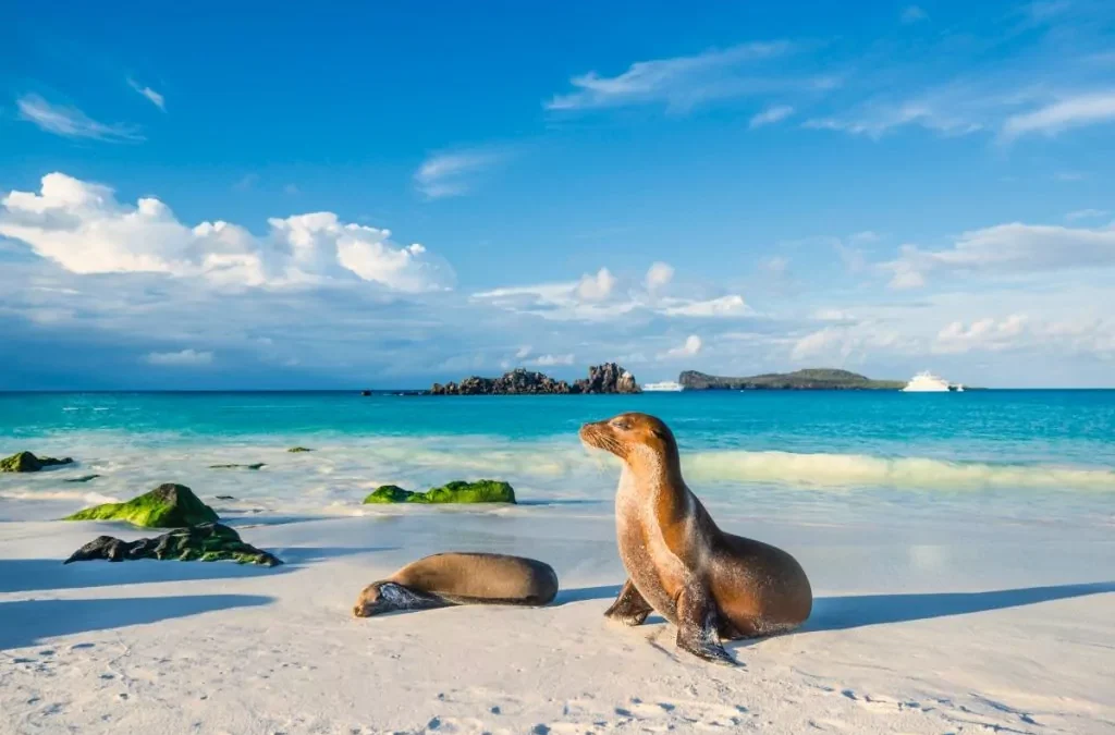 galapagos-viajar-com-bebe