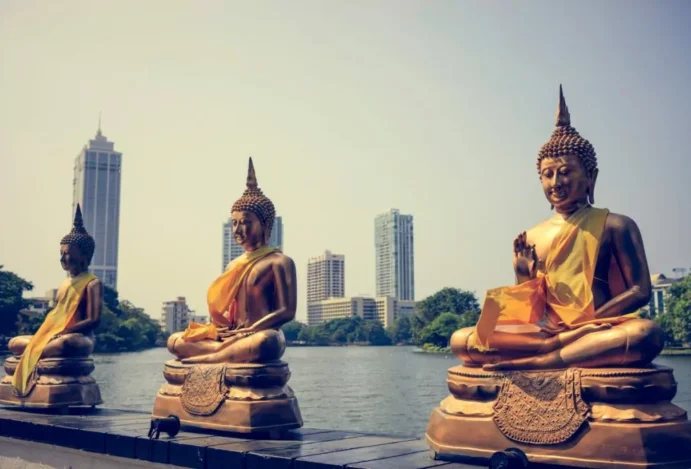 Visitar Sri Lanka: 10 motivos (fora da caixa) para você conhecer o país