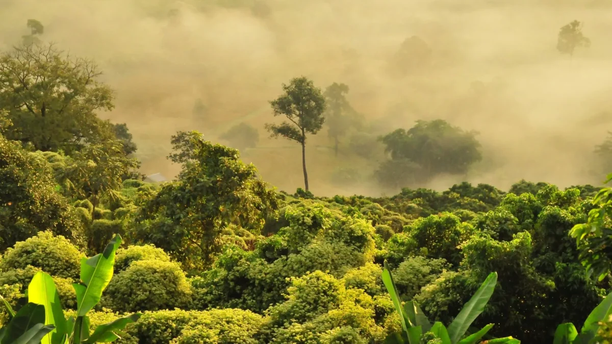 asia-melhor-epoca-tailandia-no-verao