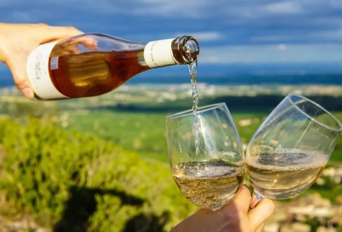 Nova Zelândia — veja onde encontrar os melhores vinhos da região