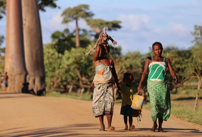 Mulheres caminham pela avenida de baobás de mãos dadas com criança. Viagem segura na África.