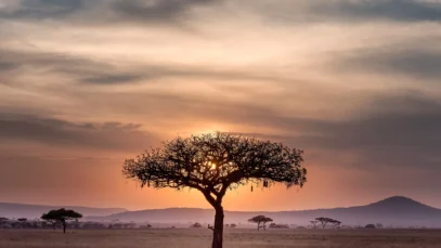 Paisagem da Tanzânia