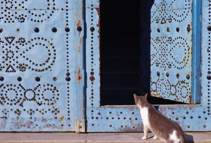 Túnis, a capital da Tunísia.