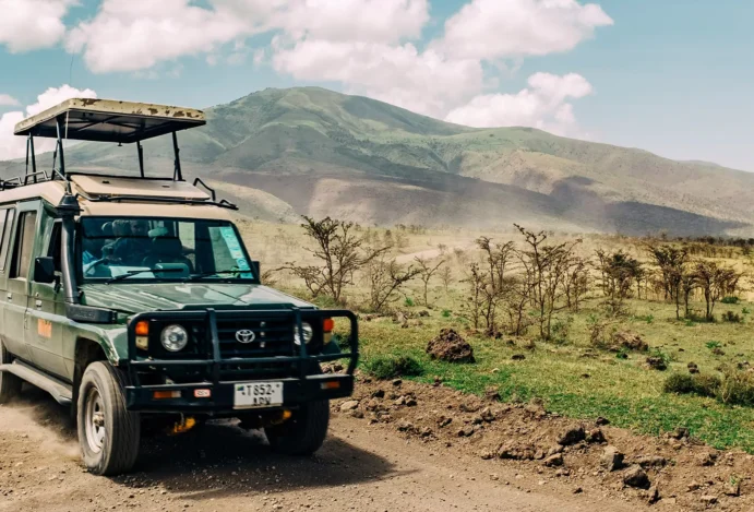 Lugares para safári: onde ir para ver cada tipo de animal