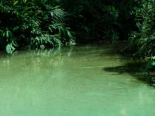 Ver mais: Jalapão - Paraíso Natural